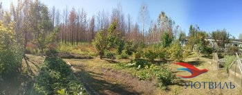 Бревенчатый дом в СНТ Ветеран в Феодосии - feodosiya.yutvil.ru - фото 12