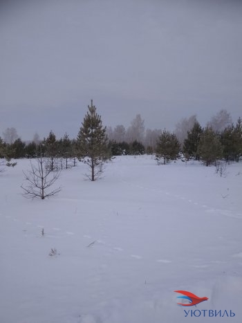 Земельный участок поселок Баженово в Феодосии - feodosiya.yutvil.ru - фото 5