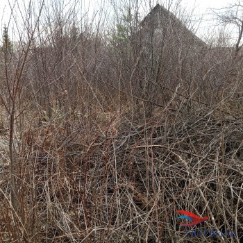 садовый участок в Дуброво-1 в Феодосии - feodosiya.yutvil.ru - фото 3